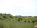 DSC00386.JPG