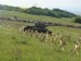 DSC00409.JPG